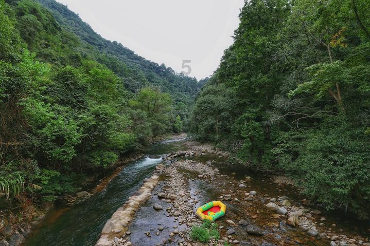 不朽星球